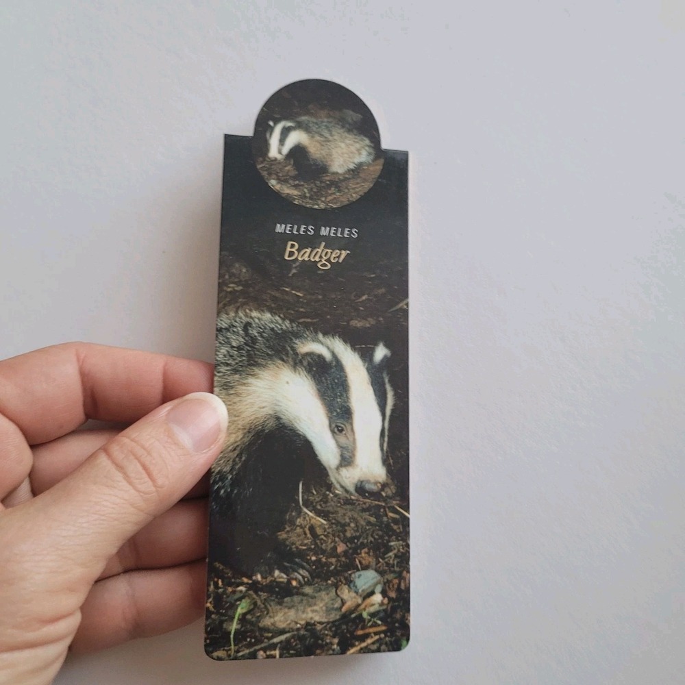 Cardmarks Badger Meles Wild Animals Magnetic Magnet UK Company If #2405, Y2k 00s
